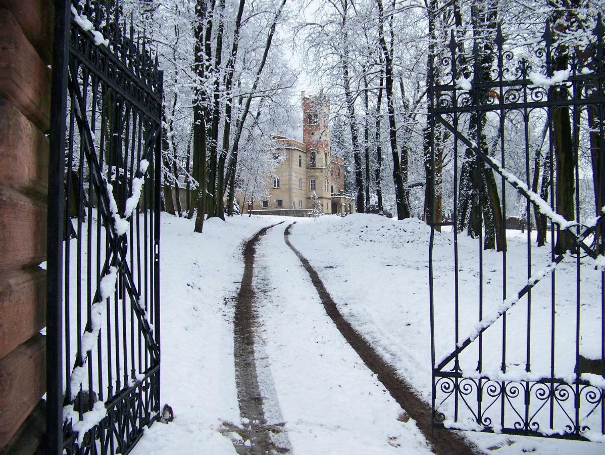 Willa Pałac Dąbrowica Dabrowica  Zewnętrze zdjęcie