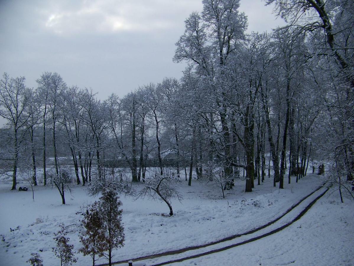 Pałac Dąbrowica Dabrowica  Zewnętrze zdjęcie